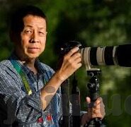 廖彩杏的绘本书单-廖彩杏的绘本书单，开启儿童阅读之旅的神奇钥匙